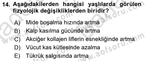 Halk Sağlığı Dersi 2024 - 2025 Yılı (Vize) Ara Sınav Soruları 14. Soru