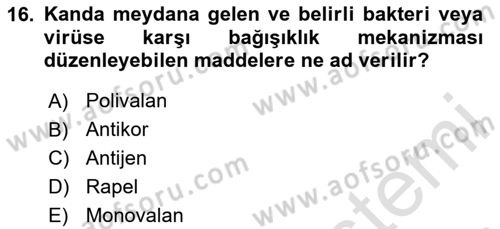 Halk Sağlığı Dersi 2024 - 2025 Yılı (Vize) Ara Sınav Soruları 16. Soru
