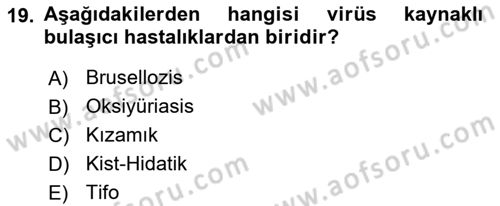 Halk Sağlığı Dersi 2024 - 2025 Yılı (Vize) Ara Sınav Soruları 19. Soru