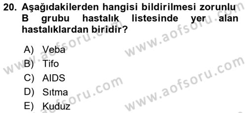 Halk Sağlığı Dersi 2024 - 2025 Yılı (Vize) Ara Sınav Soruları 20. Soru
