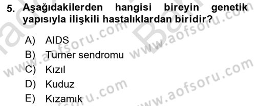 Halk Sağlığı Dersi 2024 - 2025 Yılı (Vize) Ara Sınav Soruları 5. Soru