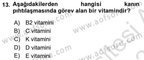 Halk Sağlığı Dersi 2024 - 2025 Yılı (Final) Dönem Sonu Sınav Soruları 13. Soru