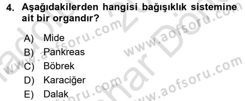 Halk Sağlığı Dersi 2024 - 2025 Yılı (Final) Dönem Sonu Sınav Soruları 4. Soru
