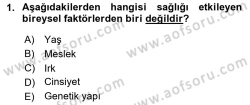 Halk Sağlığı Dersi 2024 - 2025 Yılı Yaz Okulu Sınav Soruları 1. Soru