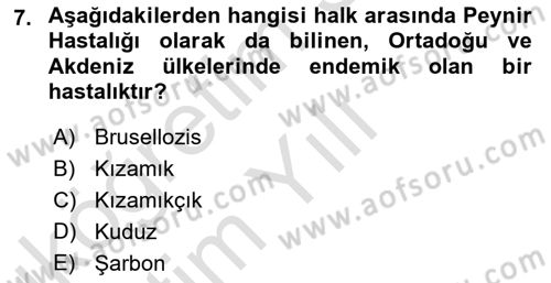 Halk Sağlığı Dersi 2024 - 2025 Yılı Yaz Okulu Sınav Soruları 7. Soru
