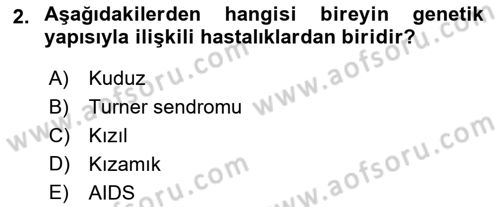Halk Sağlığı Dersi 2025 - 2026 Yılı Yaz Okulu Sınav Soruları 2. Soru
