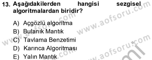 Lojistikte Teknoloji Kullanımı Dersi 2013 - 2014 Yılı (Final) Dönem Sonu Sınav Soruları 13. Soru