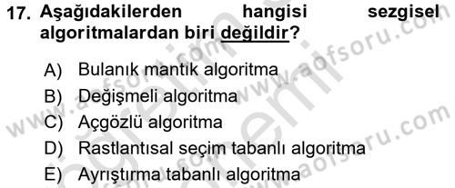 Lojistikte Teknoloji Kullanımı Dersi 2016 - 2017 Yılı (Final) Dönem Sonu Sınav Soruları 17. Soru