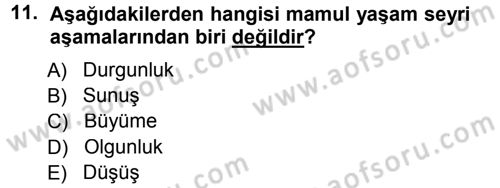 Lojistik Maliyetleri ve Raporlama 1 Dersi 2014 - 2015 Yılı (Vize) Ara Sınav Soruları 11. Soru
