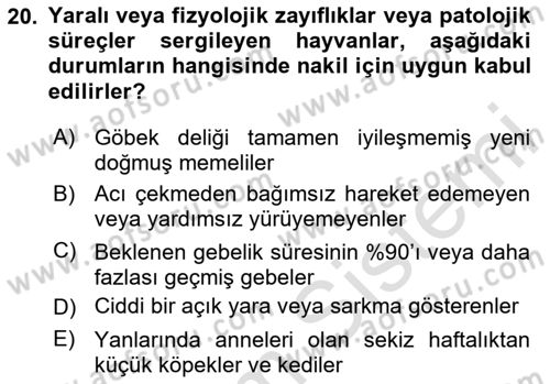Ulaştırma Sistemleri Ve Yönetimi Dersi 2024 - 2025 Yılı Yaz Okulu Sınav Soruları 20. Soru