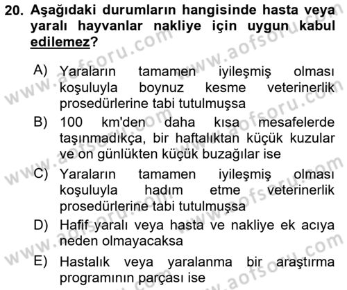 Ulaştırma Sistemleri Ve Yönetimi Dersi 2025 - 2026 Yılı (Final) Dönem Sonu Sınav Soruları 20. Soru