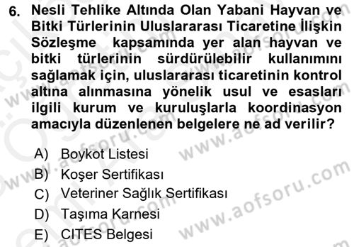 Dış Ticaret İşlemleri Ve Belgeleri Dersi 2017 - 2018 Yılı (Vize) Ara Sınav Soruları 6. Soru