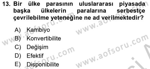 Dış Ticaret İşlemleri ve Belgeleri Dersi 2016 - 2017 Yılı 3 Ders Sınav Soruları 13. Soru