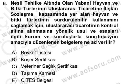 Dış Ticaret İşlemleri ve Belgeleri Dersi 2017 - 2018 Yılı (Vize) Ara Sınav Soruları 6. Soru