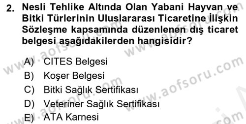 Dış Ticaret İşlemleri ve Belgeleri Dersi 2018 - 2019 Yılı (Vize) Ara Sınavı 2. Soru