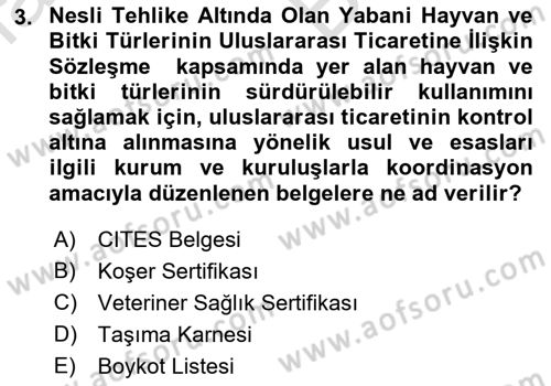 Dış Ticaret İşlemleri ve Belgeleri Dersi 2021 - 2022 Yılı (Vize) Ara Sınavı 3. Soru