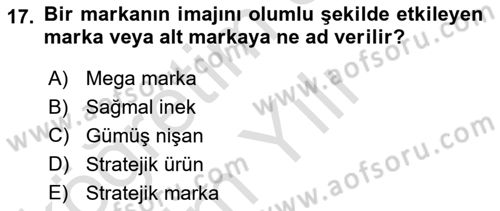 Marka ve Yönetimi Dersi 2020 - 2021 Yılı Yaz Okulu Sınav Soruları 17. Soru