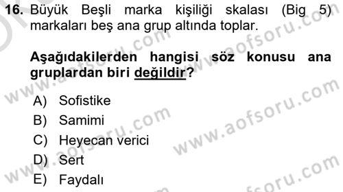 Marka ve Yönetimi Dersi 2024 - 2025 Yılı Yaz Okulu Sınav Soruları 16. Soru