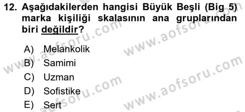 Marka ve Yönetimi Dersi 2025 - 2026 Yılı (Final) Dönem Sonu Sınav Soruları 12. Soru