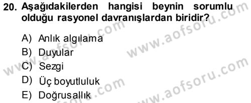Medya Planlama Dersi Ara Sınavı Deneme Sınav Soruları 20. Soru