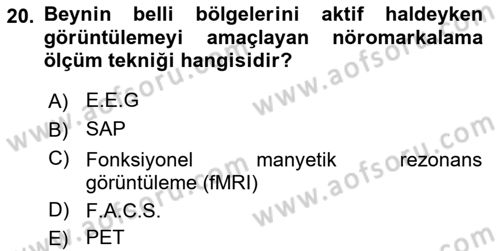 Marka İletişimi Tasarımı ve Uygulamaları Dersi 2024 - 2025 Yılı (Final) Dönem Sonu Sınav Soruları 20. Soru