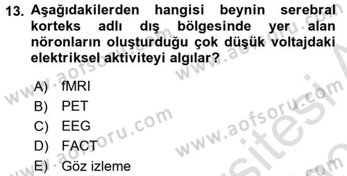 Marka İletişimi Tasarımı ve Uygulamaları Dersi 2025 - 2026 Yılı (Final) Dönem Sonu Sınav Soruları 13. Soru