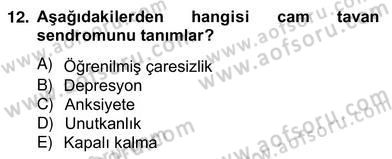 Reklamda Yaratıcılık ve Yazarlık Dersi 2012 - 2013 Yılı (Vize) Ara Sınav Soruları 12. Soru