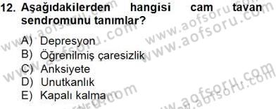Reklamda Yaratıcılık ve Yazarlık Dersi 2014 - 2015 Yılı (Vize) Ara Sınav Soruları 12. Soru