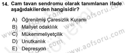 Reklamda Yaratıcılık ve Yazarlık Dersi 2015 - 2016 Yılı (Vize) Ara Sınav Soruları 14. Soru