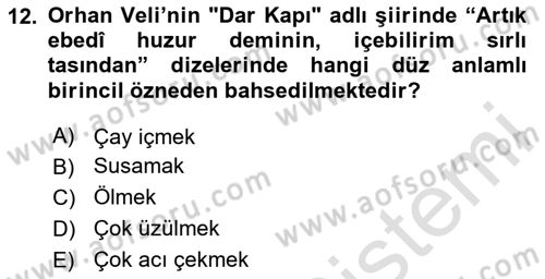 Reklamda Yaratıcılık ve Yazarlık Dersi 2023 - 2024 Yılı (Vize) Ara Sınav Soruları 12. Soru