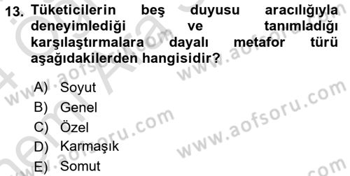 Reklamda Yaratıcılık ve Yazarlık Dersi 2023 - 2024 Yılı (Vize) Ara Sınav Soruları 13. Soru