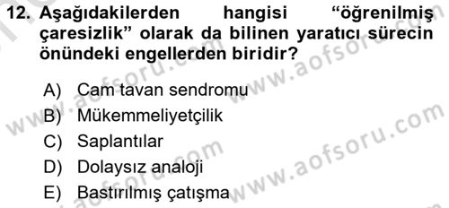 Reklamda Yaratıcılık ve Yazarlık Dersi 2024 - 2025 Yılı (Vize) Ara Sınav Soruları 12. Soru