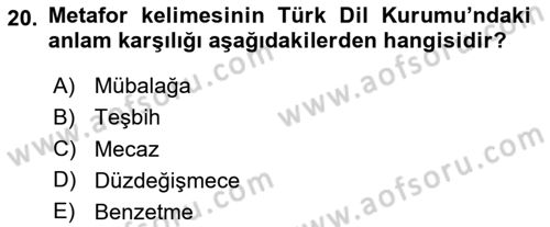 Reklamda Yaratıcılık ve Yazarlık Dersi 2024 - 2025 Yılı (Vize) Ara Sınav Soruları 20. Soru