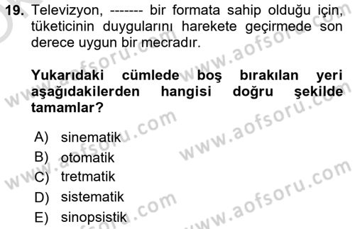 Reklamda Yaratıcılık ve Yazarlık Dersi 2024 - 2025 Yılı Yaz Okulu Sınav Soruları 19. Soru