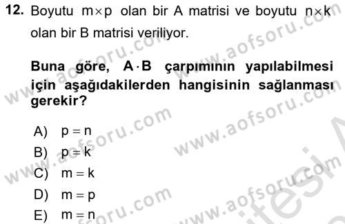 Genel Matematik Dersi 2025 - 2026 Yılı Yaz Okulu Sınav Soruları 12. Soru