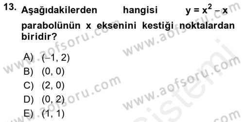 Matematik 1 Dersi 2018 - 2019 Yılı (Vize) Ara Sınav Soruları 13. Soru