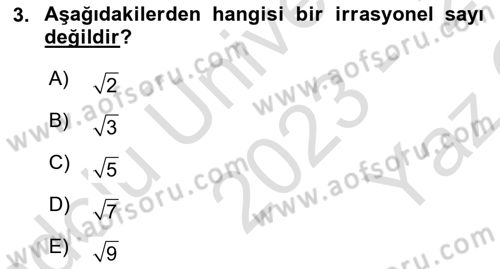 Matematik 1 Dersi 2023 - 2024 Yılı Yaz Okulu Sınav Soruları 3. Soru