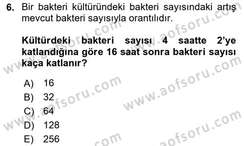 Matematik 2 Dersi 2024 - 2025 Yılı (Vize) Ara Sınav Soruları 6. Soru