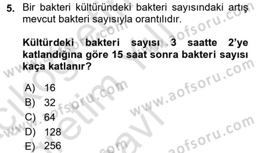 Matematik 2 Dersi 2024 - 2025 Yılı Yaz Okulu Sınav Soruları 5. Soru