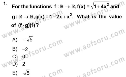 Mathematics 1 Dersi 2018 - 2019 Yılı (Vize) Ara Sınavı 1. Soru