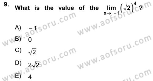 Mathematics 1 Dersi 2019 - 2020 Yılı (Final) Dönem Sonu Sınav Soruları 9. Soru