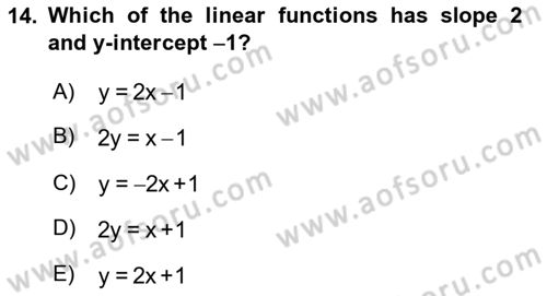 Mathematics 1 Dersi Ara Sınavı Deneme Sınav Soruları 14. Soru