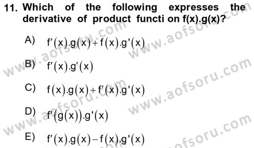 Mathematics 1 Dersi 2023 - 2024 Yılı (Final) Dönem Sonu Sınavı 11. Soru