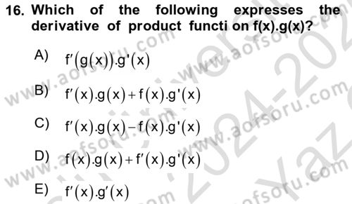 Mathematics 1 Dersi 2024 - 2025 Yılı Yaz Okulu Sınav Soruları 16. Soru
