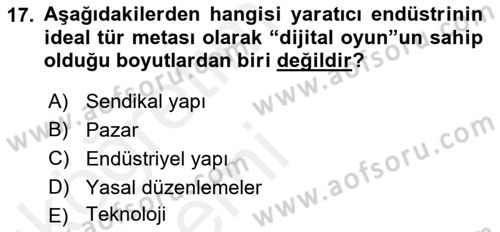 Medya Ekonomisi ve İşletmeciliği Dersi 2015 - 2016 Yılı Tek Ders Sınav Soruları 17. Soru