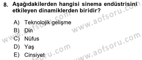 Medya Ekonomisi ve İşletmeciliği Dersi 2016 - 2017 Yılı (Final) Dönem Sonu Sınav Soruları 8. Soru