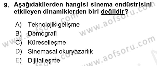 Medya Ekonomisi ve İşletmeciliği Dersi 2017 - 2018 Yılı (Final) Dönem Sonu Sınav Soruları 9. Soru