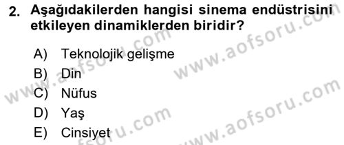 Medya Ekonomisi ve İşletmeciliği Dersi 2018 - 2019 Yılı 3 Ders Sınav Soruları 2. Soru