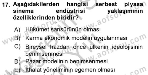 Medya Ekonomisi ve İşletmeciliği Dersi 2018 - 2019 Yılı Yaz Okulu Sınav Soruları 17. Soru