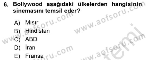 Medya Ekonomisi ve İşletmeciliği Dersi 2021 - 2022 Yılı (Final) Dönem Sonu Sınav Soruları 6. Soru